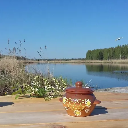 Dome Bungalow Niedras * Jūrkalne